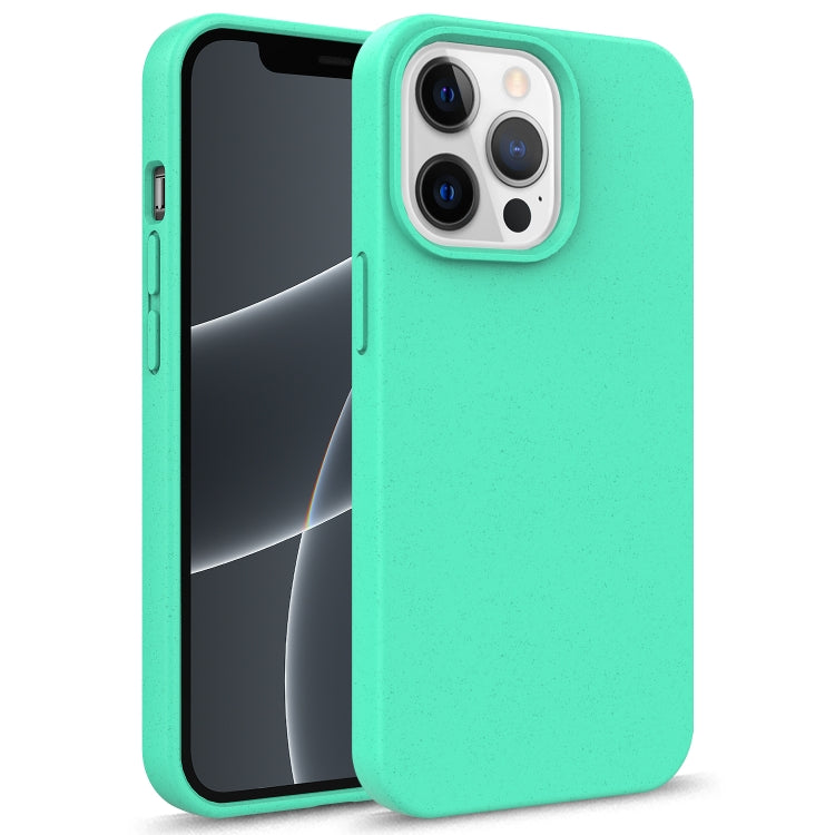 For iPhone 13 mini Starry Series Shockproof Straw Material + TPU Protective Case (Green) - iPhone 13 mini Cases by buy2fix | Online Shopping UK | buy2fix