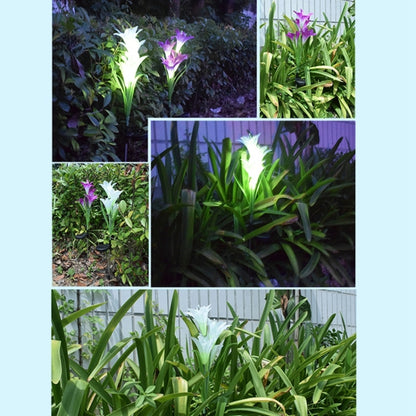 Simulated Lily Flower 4 Heads Solar Powered Outdoor IP55 Waterproof LED Decorative Lawn Lamp, White Light (Purple) - Solar Lights by buy2fix | Online Shopping UK | buy2fix