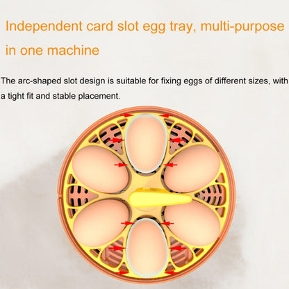 6-Eggs Small Household Experimental Children Smart Chicken Incubators, Spec: Automatic US Plug - Incubators by buy2fix | Online Shopping UK | buy2fix