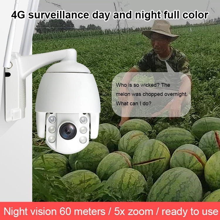 QX2 4G (EU Version) 1080P HD 360 Degrees Panoramic Day and Night Full-color Waterproof Smart Camera, Support Motion Detection / Two-way Voice / TF Card, US Plug - Security by buy2fix | Online Shopping UK | buy2fix