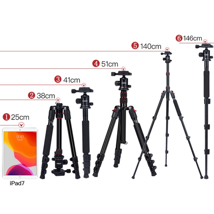 TRIOPO K2508S+B1S Adjustable Portable  Aluminum Alloy Tripod with Ball Head for SLR Camera(Gold) - Camera Accessories by TRIOPO | Online Shopping UK | buy2fix