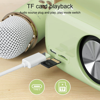 C20 Plus Multifunctional Karaoke Bluetooth Speaker With Microphone (Pink) - Microphone by buy2fix | Online Shopping UK | buy2fix