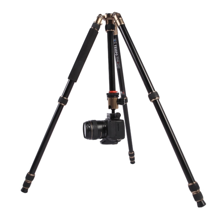 Triopo MT-2504C Adjustable Portable Aluminum Tripod with NB-1S Ball Head for Canon Nikon Sony DSLR Camera(Black) - Camera Accessories by TRIOPO | Online Shopping UK | buy2fix