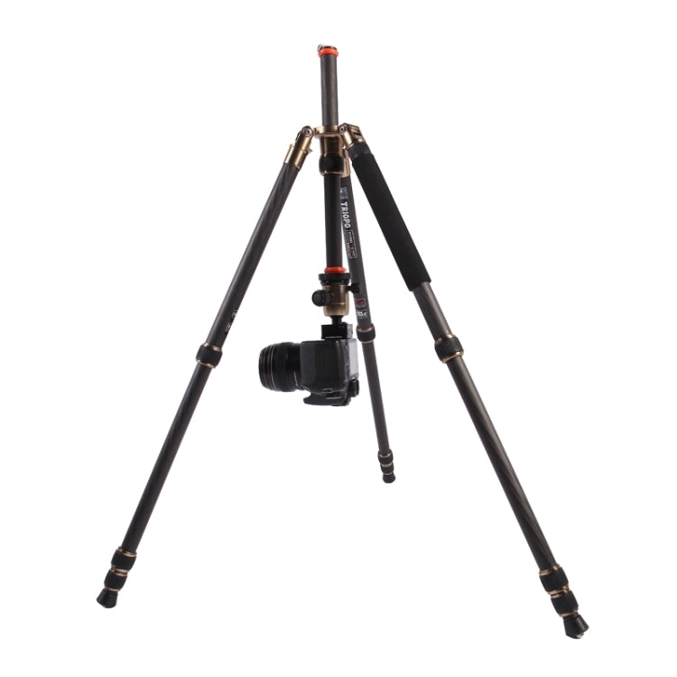 Triopo GT-2504X8.C Adjustable Portable Carbon Fiber Tripod with B-1 Aluminum Ball Head for Canon Nikon Sony DSLR Camera - Camera Accessories by TRIOPO | Online Shopping UK | buy2fix