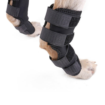 DogLemi PD60041 Dog Hock Brace Pet Supportive Rear Dog Compression Leg Joint Wrap Protects Wounds and Injury, Size:L - Home & Garden by buy2fix | Online Shopping UK | buy2fix