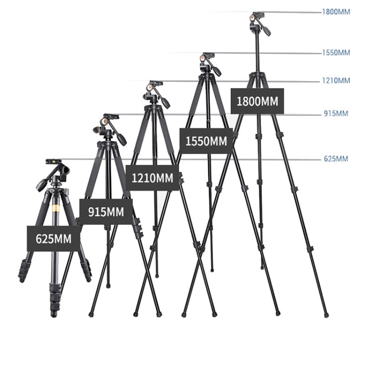 Q620 4-Section Folding Legs Heavy Duty Aluminum Alloy Tripod With Three-Dimensional Damping Tripod Heads - Camera Accessories by buy2fix | Online Shopping UK | buy2fix