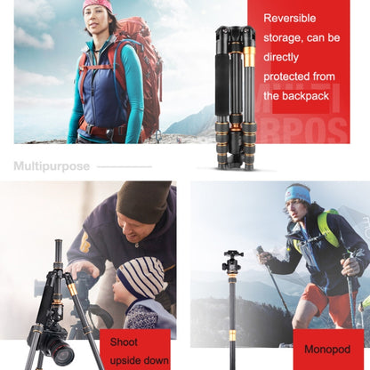 QingZhuangShiDai Q666C Portable Travel Photography Ball Head SLR Camera Carbon Fiber Tripod(Black) - Tripods by QingZhuangShiDai | Online Shopping UK | buy2fix